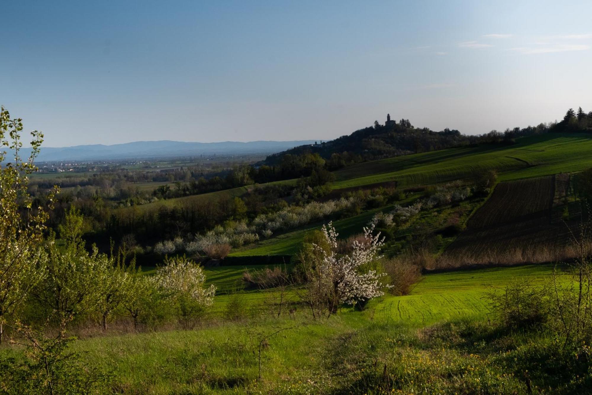 Monferrato Inn Rivarone Esterno foto
